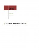 Mkt 6003 - Cultural Analysis Brazil